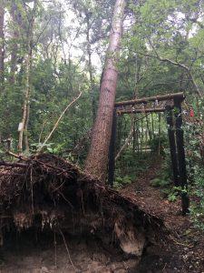 stormschade bosperceel opruimen